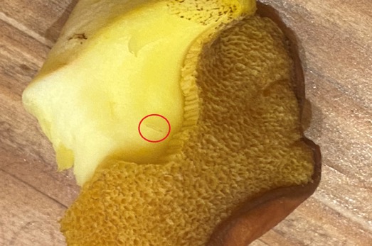 כככה הן אמורות להראות מבפנים.