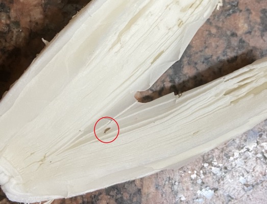 כככה הן אמורות להראות מבפנים.