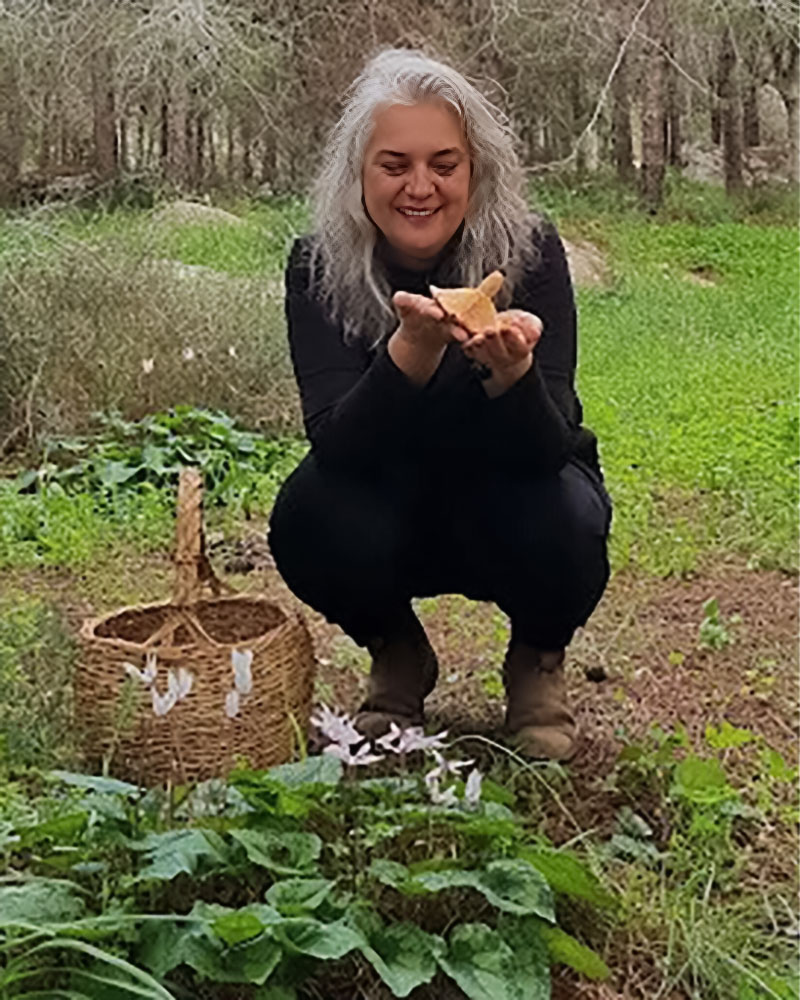 מירב הראל