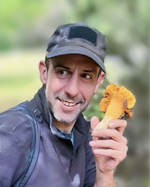 רועי סטופל