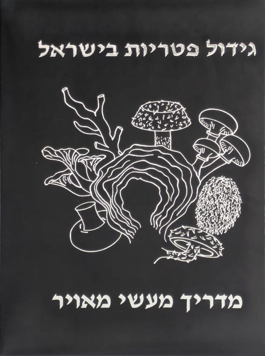 גידול פטריות בישראל