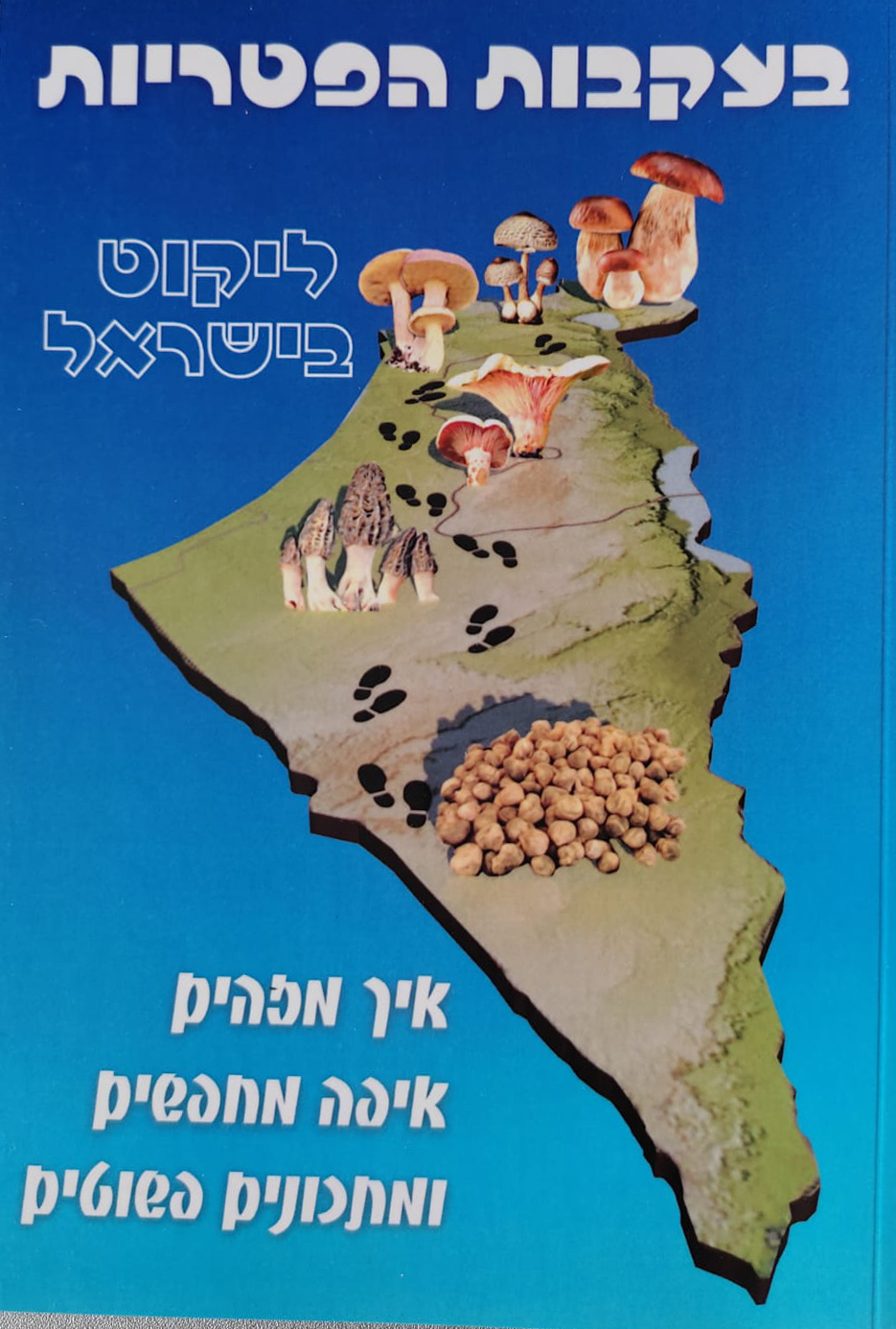 בעקבות הפטריות